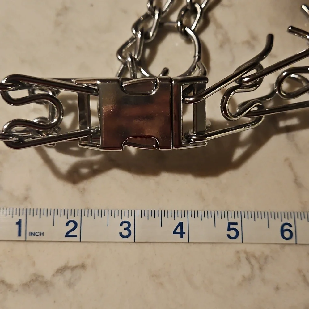 Dog Prong Collar